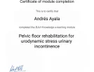 Pelvic floor rehabilitation