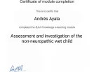 non-neuropathic wet child